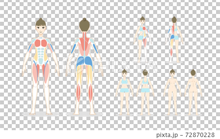 女性の全身のベクターイラストセット 女性の全身のベクターイラストセット 72870228