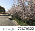 桜と公園 72870322