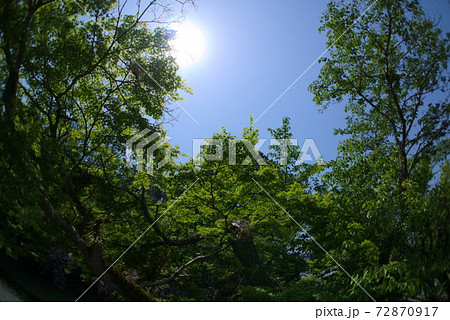 大分市 西寒田神社 大分市 西寒田神社 72870917