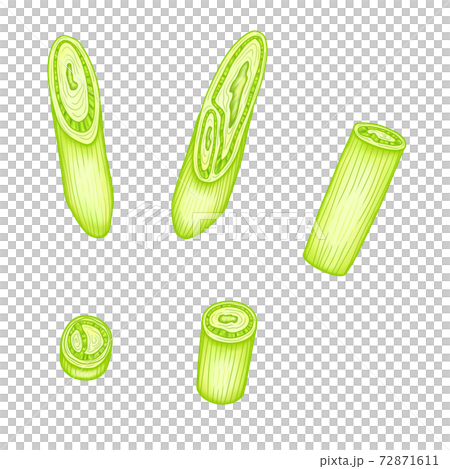 野菜4-4　ネギ（イラスト）鍋・弁当・料理画像にも使えます　組合せシリーズ 72871611