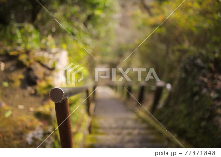 豊後大野市(三重町) 菅尾石仏 豊後大野市(三重町) 菅尾石仏 72871848