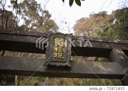 豊後大野市（三重町）　菅尾石仏 72871852