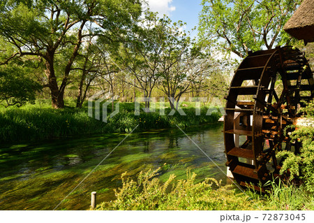 大王わさび農場より 72873045