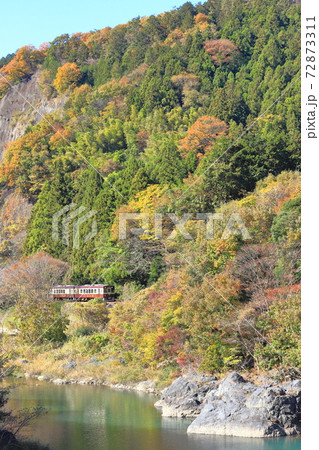 わたらせ渓谷鐵道「渡良瀬川と紅葉の中を行く列車」 72873311