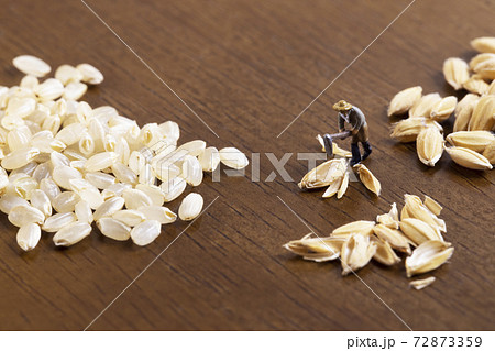 米の籾すりをする農夫 米の籾すりをする農夫 72873359