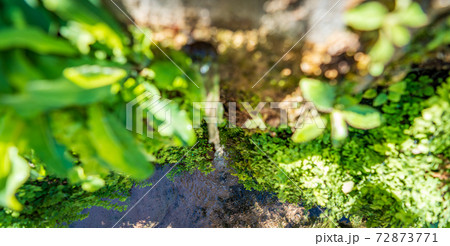 Top view of fountain stream with fresh water 72873771