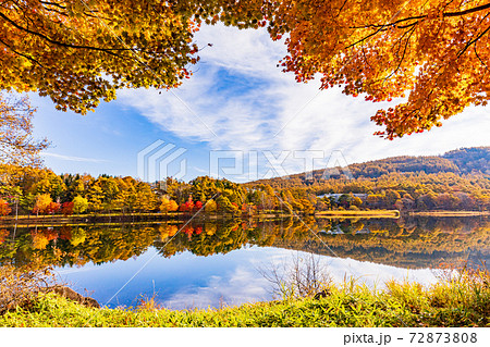 (長野県)蓼科・女神湖 湖畔の紅葉 早朝 (長野県)蓼科・女神湖 湖畔の紅葉 早朝 72873808