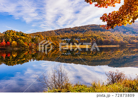 （長野県）蓼科・女神湖　湖畔の紅葉　早朝 72873809