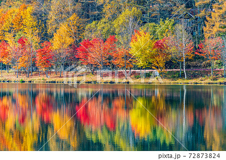 （長野県）蓼科・女神湖　湖畔の紅葉　早朝 72873824