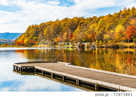 （長野県）蓼科・女神湖　湖畔の紅葉　早朝 72873861