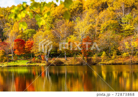 （長野県）蓼科・女神湖　湖畔の紅葉　早朝 72873868