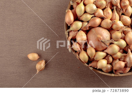 Onion on a table. Top view. Onion on a table. Top view. 72873890