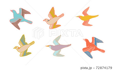 手描き鳥のイラスト カラフル カラフルな手描きの鳥のセットのイラスト素材 [72874179] - PIXTA