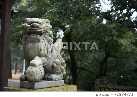 日本の神社にある狛犬の像。 狛犬は神社や時にはお寺の守護神です。 72874773