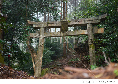 森の中にひっそりと佇む神社の鳥居の写真素材 [72874957] - PIXTA