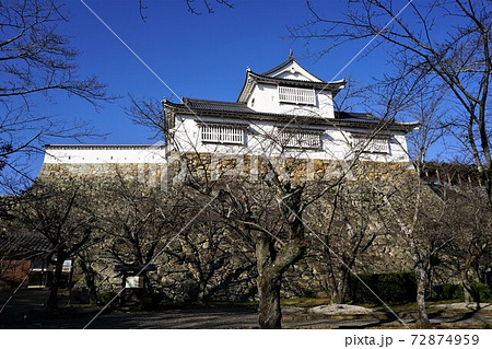 岡山県津山市にあるさくら名所100選のひとつ「鶴山公園(津山城趾)」:備中櫓 岡山県津山市にあるさくら名所100選のひとつ「鶴山公園(津山城趾)」:備中櫓 72874959
