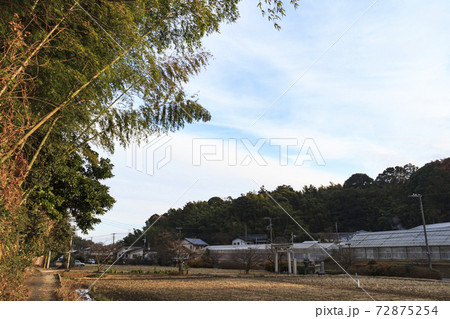 神奈川県横浜市戸塚区の里山舞岡公園の冬 72875254