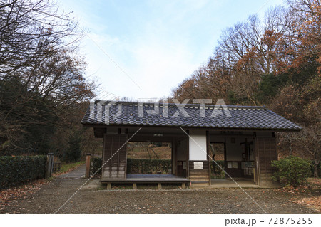 神奈川県横浜市戸塚区の里山舞岡公園の冬 神奈川県横浜市戸塚区の里山舞岡公園の冬 72875255