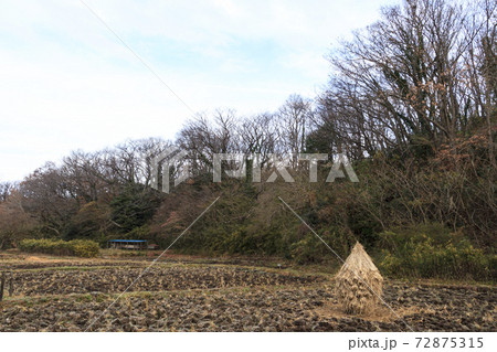 神奈川県横浜市戸塚区の里山舞岡公園の冬 神奈川県横浜市戸塚区の里山舞岡公園の冬 72875315
