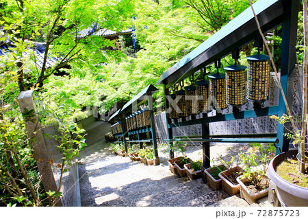 【広島】初夏の宮島弥山大聖院 階段上から見下ろす摩尼車 【広島】初夏の宮島弥山大聖院 階段上から見下ろす摩尼車 72875723