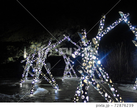 ライトアップ ライトアップ 72876239