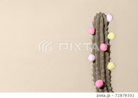 Minimal creative stillife, cactus and fluffy colorful balls on background, happy birthday, summer, vacation, depilation concept, copy space, flyer, sale coupon discount, toned photo, trendy beige 72876501
