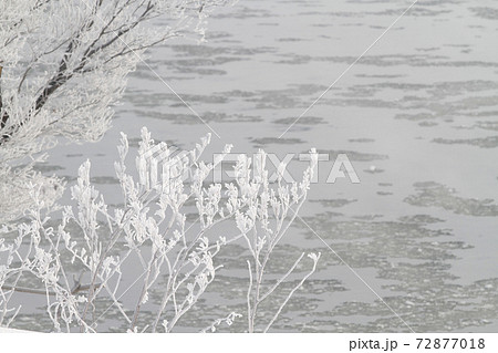 北海道冬景色　霧氷　樹氷　冬の芸術 72877018