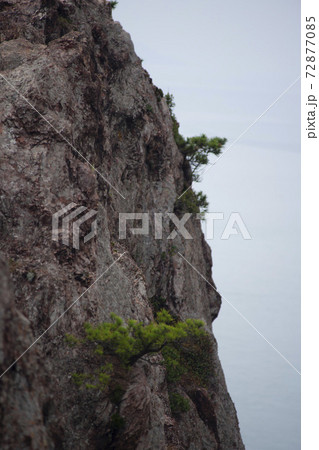 海 島 岩 72877085