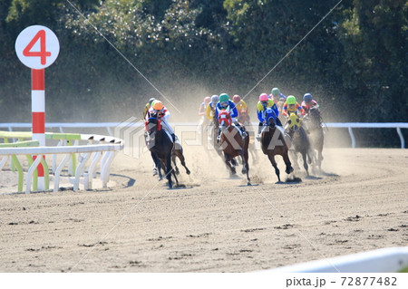 大井競馬場 72877482