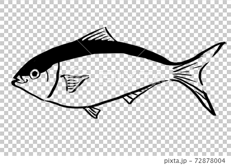 Illustration of black line art of yellowtail - Stock Illustration ...