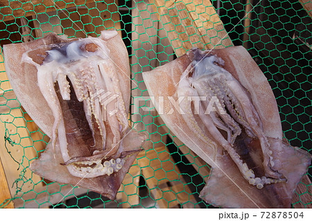 開いたイカを天日干し 開いたイカを天日干し 72878504