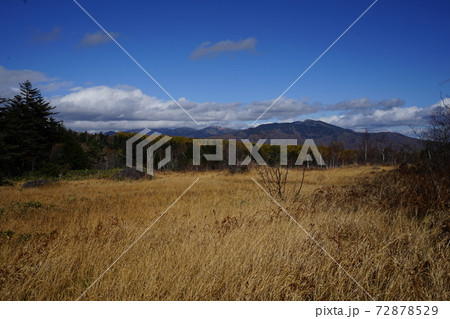 群馬県 嬬恋村 パルコールスキー場近く 浦倉山のふもとにある野地平 群馬県 嬬恋村 パルコールスキー場近く 浦倉山のふもとにある野地平 72878529