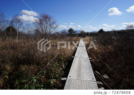 群馬県　嬬恋村　パルコールスキー場近く　浦倉山のふもとにある野地平 72878608