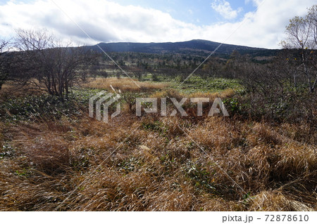 群馬県 嬬恋村 パルコールスキー場近く 浦倉山のふもとにある野地平 群馬県 嬬恋村 パルコールスキー場近く 浦倉山のふもとにある野地平 72878610