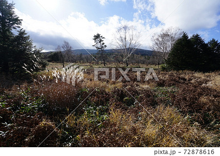 群馬県　嬬恋村　パルコールスキー場近く　浦倉山のふもとにある野地平 72878616