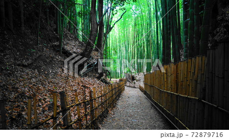 時代劇のような竹林の坂道　312 72879716