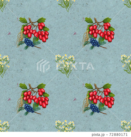 Hand drawn medicinal plant seamless pattern. Healing herbs drawing on craft paper. 72880171