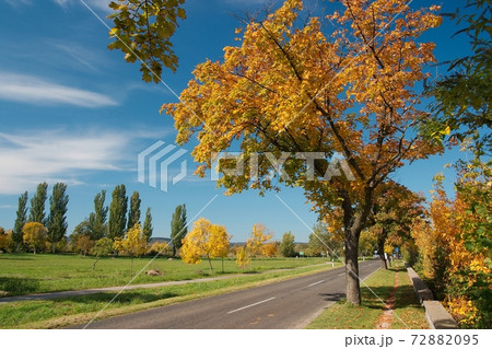 Autumn road Autumn road 72882095
