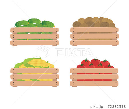 Vegetables in wooden boxes, isolated on a white background. Tomatoes, potatoes, corn and cucumbers. Illustration of organic food. Vegetables in wooden boxes, isolated on a white background. Tomatoes, potatoes, corn and cucumbers. Illustration of organic food. 72882558
