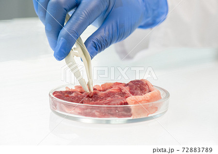 Gloved hand of scientific researcher taking tiny sample of raw vegetable meat Gloved hand of scientific researcher taking tiny sample of raw vegetable meat 72883789