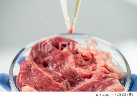 Gloved hands of scientific researcher holding petri dish with raw vegetable meat 72883799