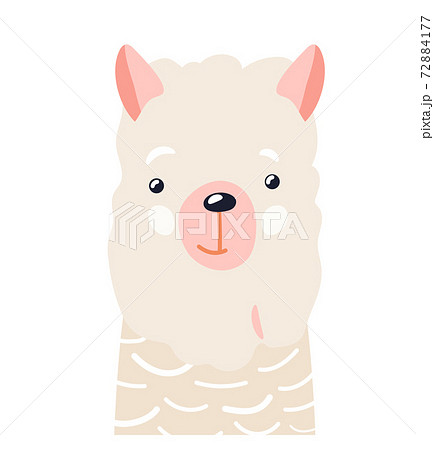 Lama cute animal baby face vector illustration. Hand drawn style nursery character. Scandinavian funny kid design 72884177