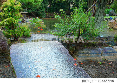落ち葉 渉成園の紅葉の始まり 落ち葉 渉成園の紅葉の始まり 72884446
