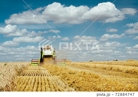 Combine harvester harvests ripe wheat. Concept of a rich harvest. Agriculture image 72884747