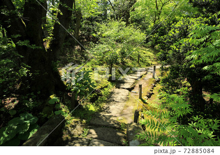 新緑の御薬園 72885084