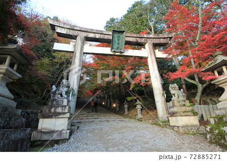 滋賀　胡宮神社の紅葉 72885271