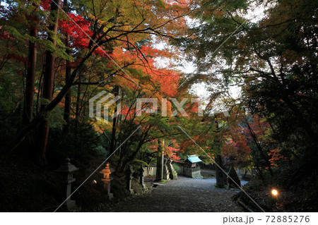 滋賀　胡宮神社の紅葉 72885276