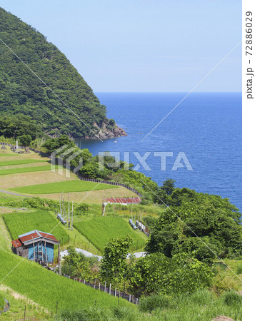 田島の棚田と山と海の風景 田島の棚田と山と海の風景 72886029