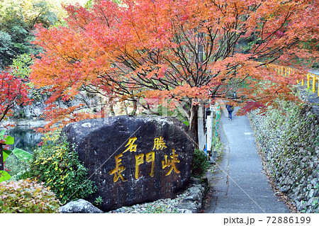 長門峡渓谷の秋 72886199