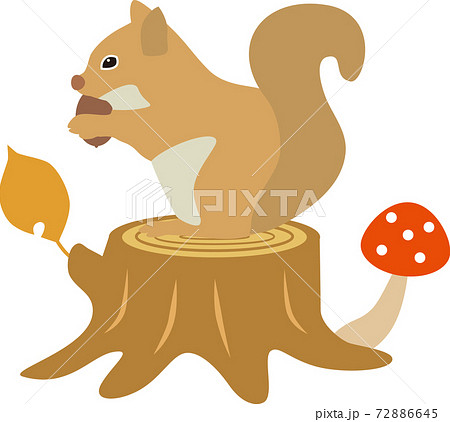 リスと切り株のイラスト素材